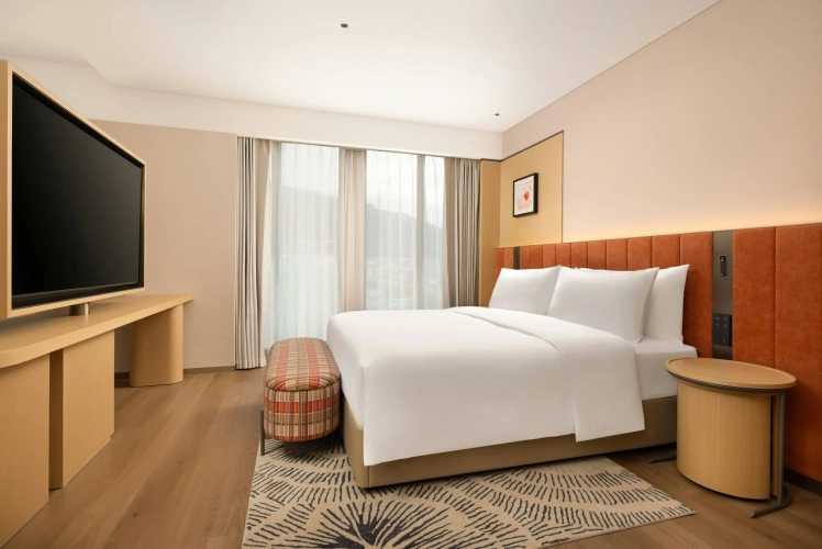 Premium Double room