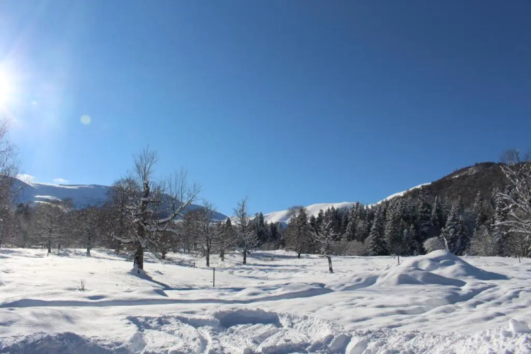 Mountain Villa Didveli