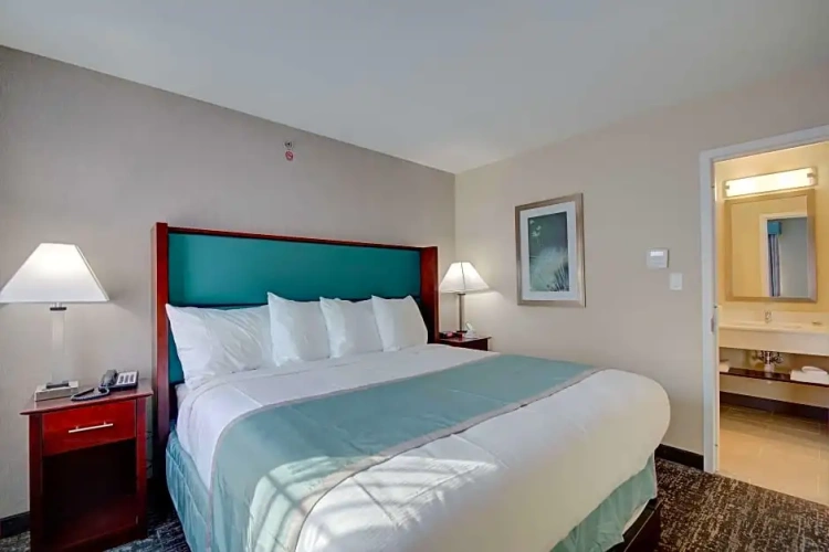 1 Bedroom Double Suite