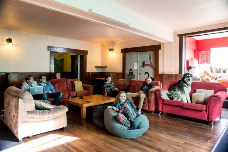 The Pickled Frog - Hostel
