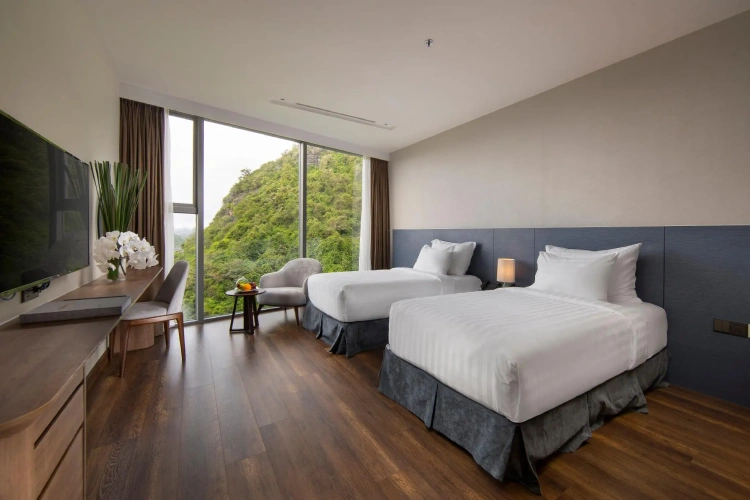 Deluxe Twin room with mountain view
