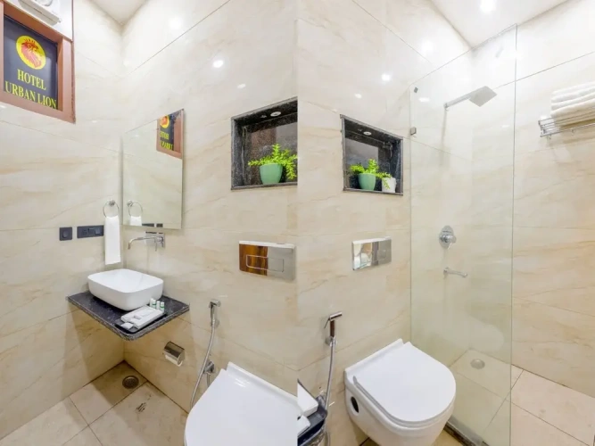 Deluxe Double room with city view