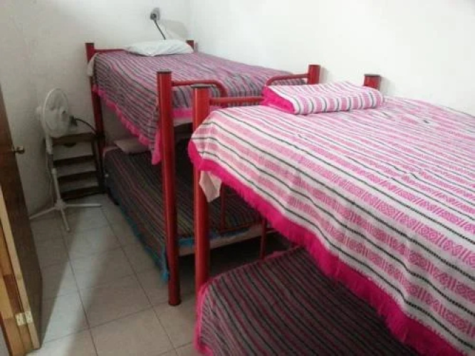 Ocote Hostal
