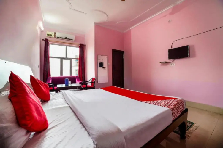 Hotel Olive Tree