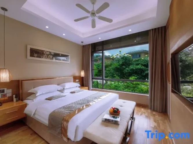 Premier Double room