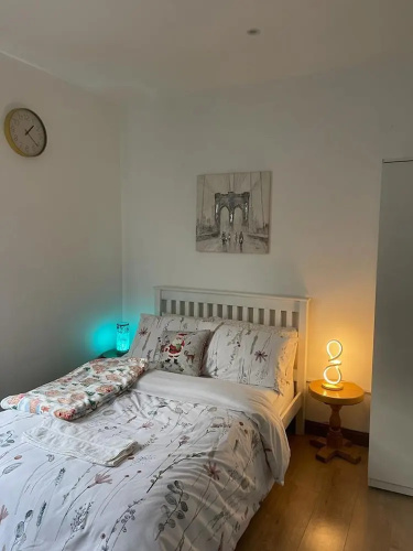 Luxury Studio Flat in London