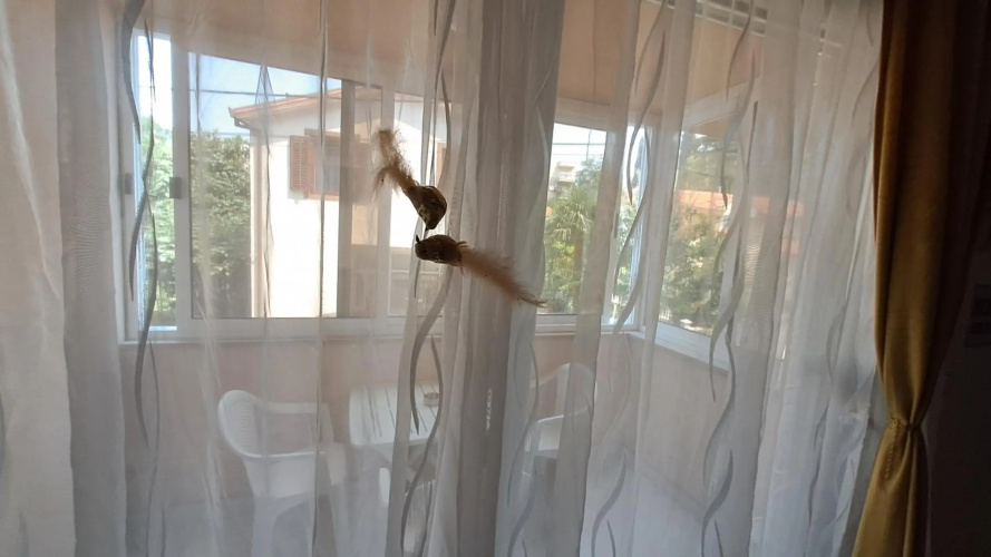 Apartment Aria Lux