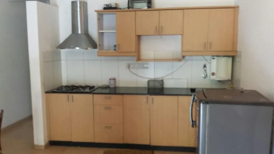 Basement Apartment with balcony and with view