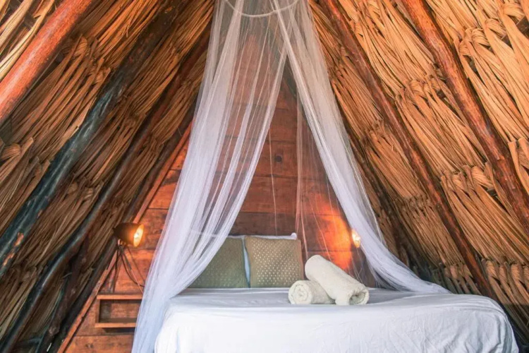 Mapache Hostel & Camping
