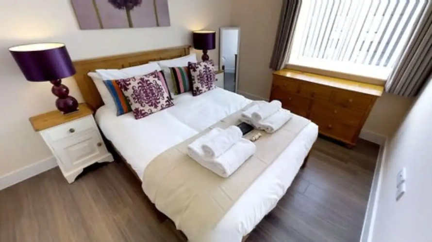 1 Bedroom Standard Apartment