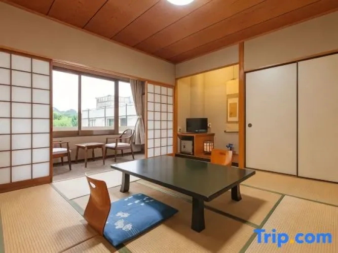 Economy room with mountain view