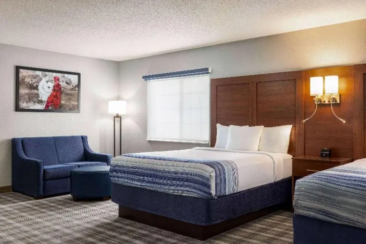 Quadruple Suite