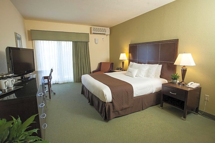 Single Junior Suite
