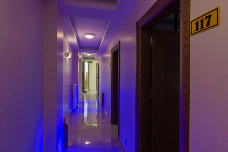 Agva Palas Hotel