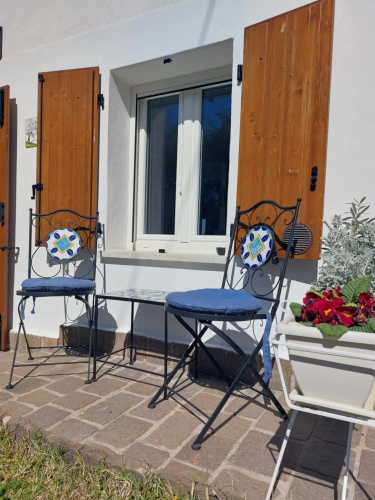 Casa tra gli Olivi
