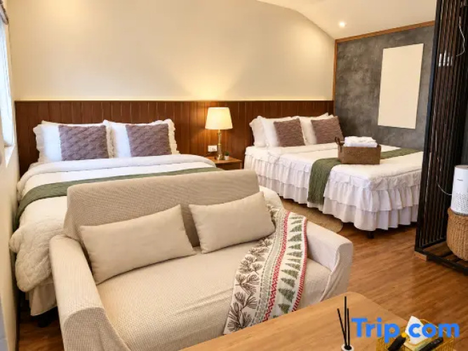 Standard Double room with city view