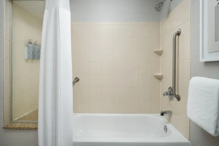 1 Bedroom Suite