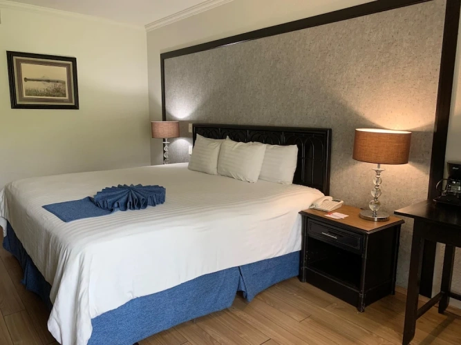 Grand Single room