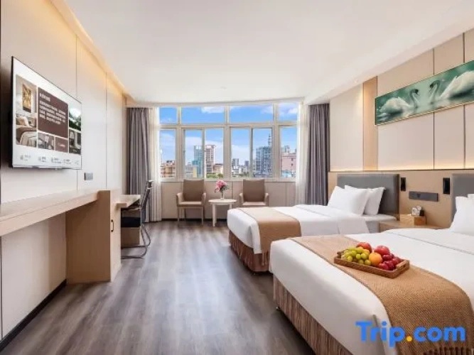 Luxury Twin room with city view