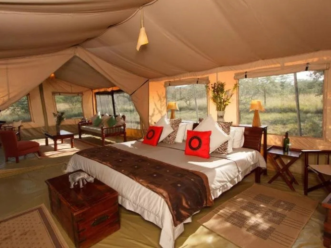 Leleshwa Camp