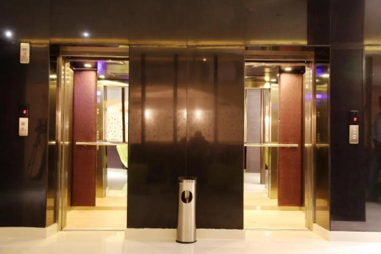 The Purple Leaf Hotels