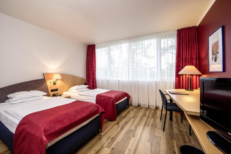 Standard Single room
