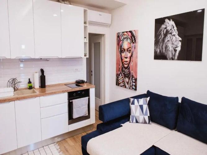1 Bedroom Apartment