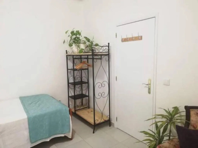 Home & Flower 3