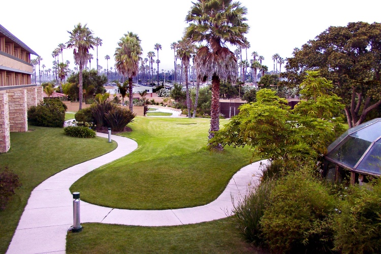 Four Points Sheraton Ventura photo 24