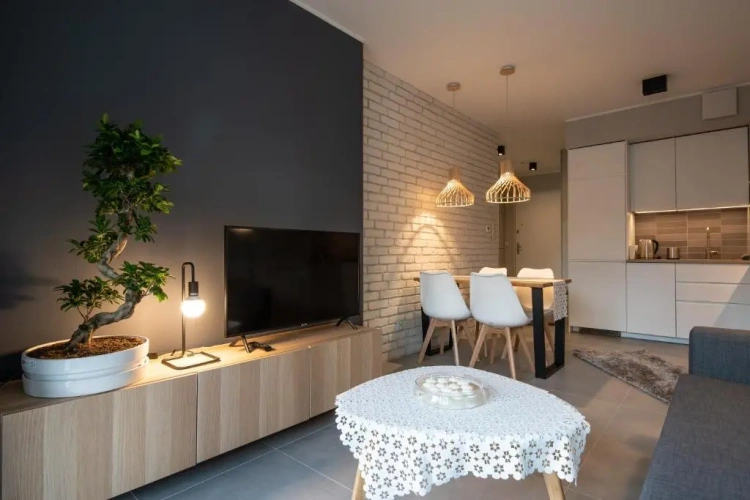 1 Bedroom Apartment