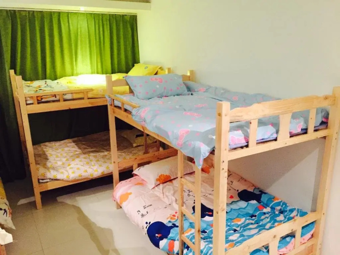Secret Deer Hostel