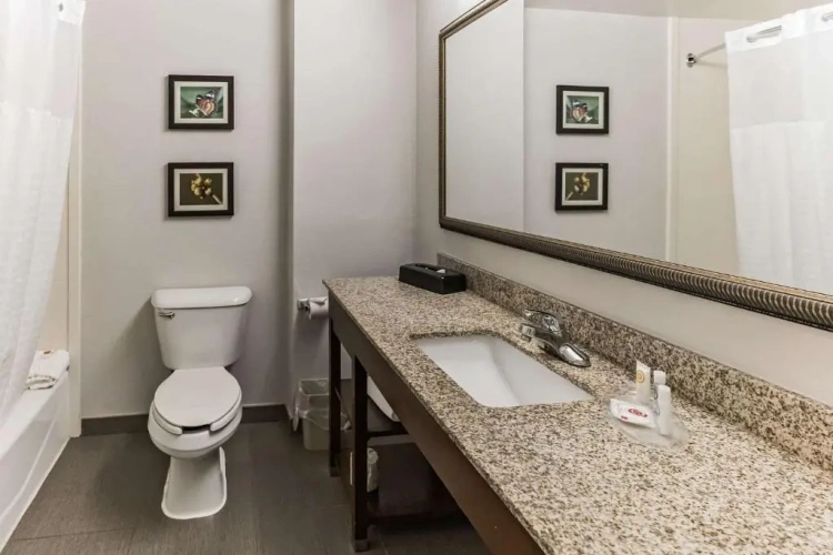 Standard Double Suite