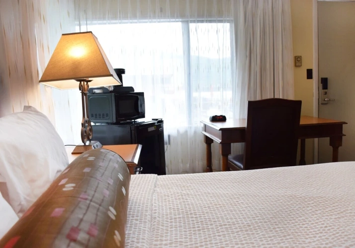 Standard Double room with pool view