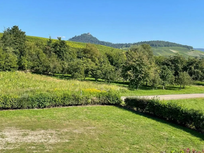 Ferienwohnung Reblandblick