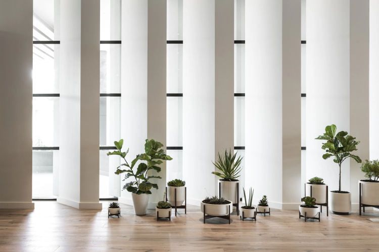 Kimpton Everly Hotel photo 20