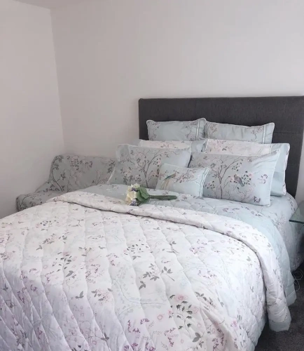 1 Bedroom Studio