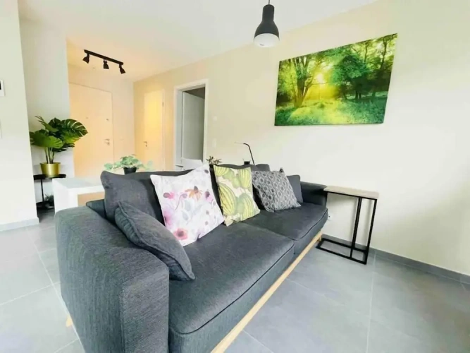 Deluxe Apartment