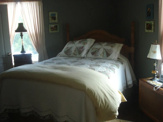 Classic Double room with courtyard view