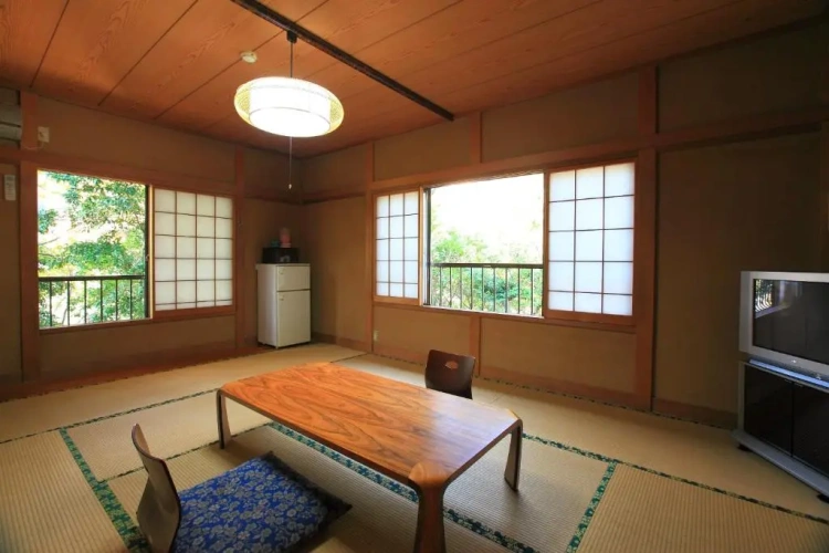 Superior room with mountain view