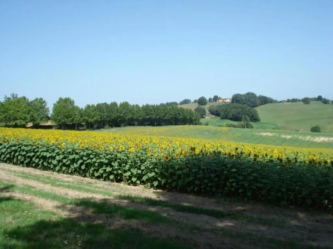 Relais du Château