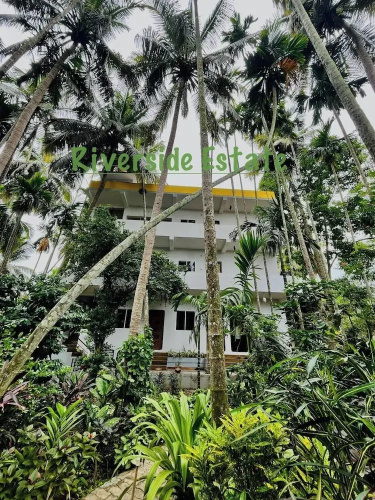 Dandeli River Nest