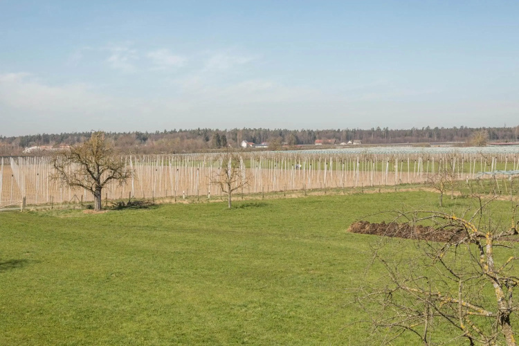 Ferienwohnung Monninger, Bild 15
