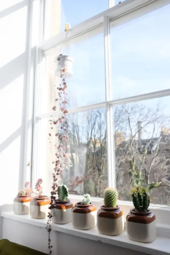 1 Bedroom Flat Near The Meadows