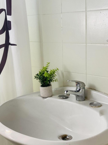 Brava Beach Hostel