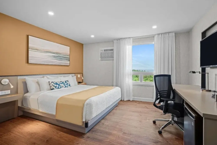 Standard Double room with garden view