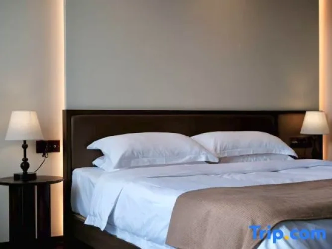 Standard Double room with balcony and with mountain view