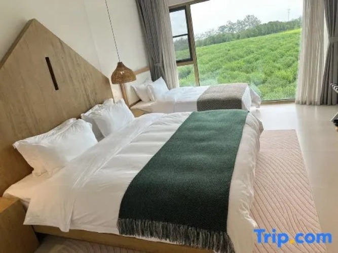 2 Bedrooms Suite