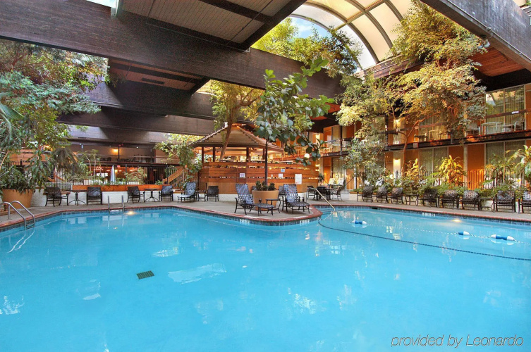 M Hotel Buffalo photo 12