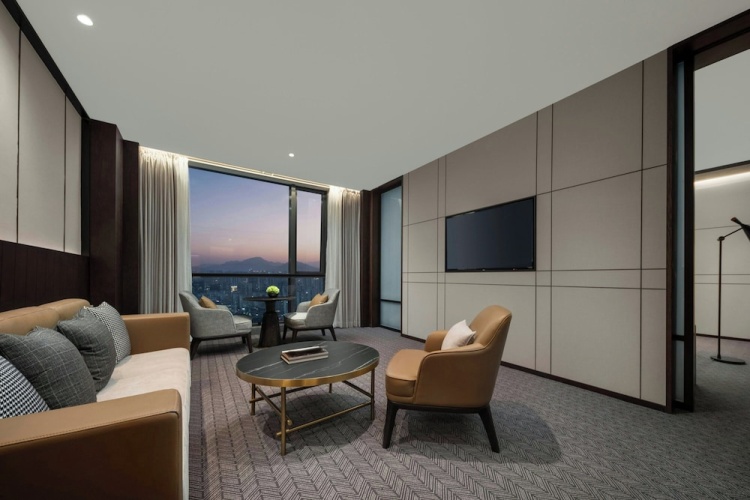 Deluxe Double Suite with city view