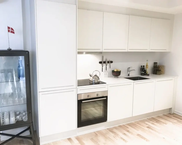 Luxury Apartment